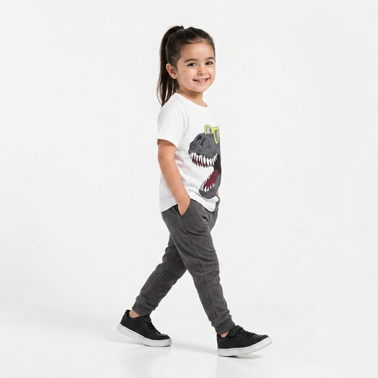 Gery Dino Vibe Set